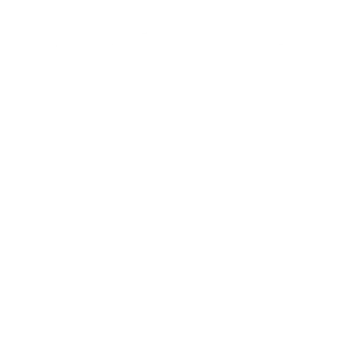 BLACKWOLF SECURITY